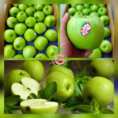 Turkey Premium Granny Smith Green Apples (Size XL)