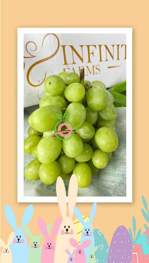 Air-Flown Australia Premium Green Seedless Grapes (Autumn Crisp®) (approx. 1KG per packet)