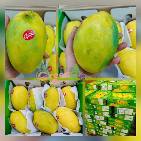 Air-Flown India Premium Mangoes (Banaganapalli) (approx. 450 - 750gms per piece – 5KG Box)