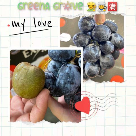 South Africa Premium Black Seedless Grapes (Adora) (Size 2XL)