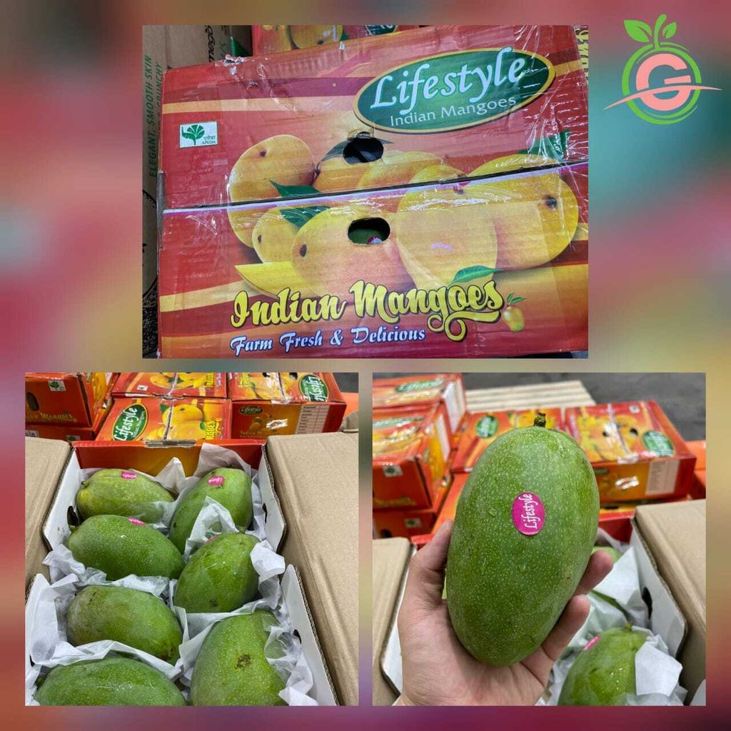 Air-Flown Indian Premium Honey Himayat Mangoes