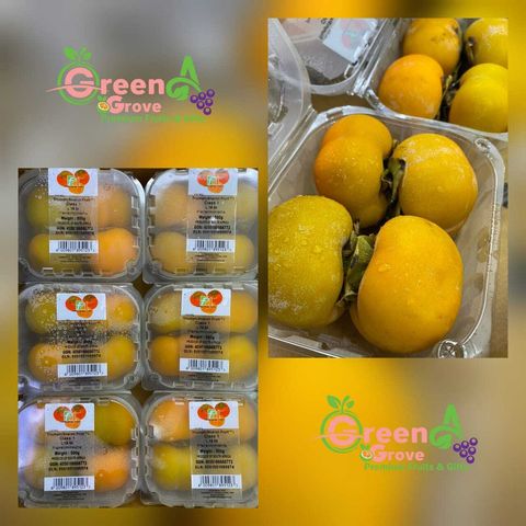 South Africa Premium Sharon Fruit™ Triumph Sweet Persimmons