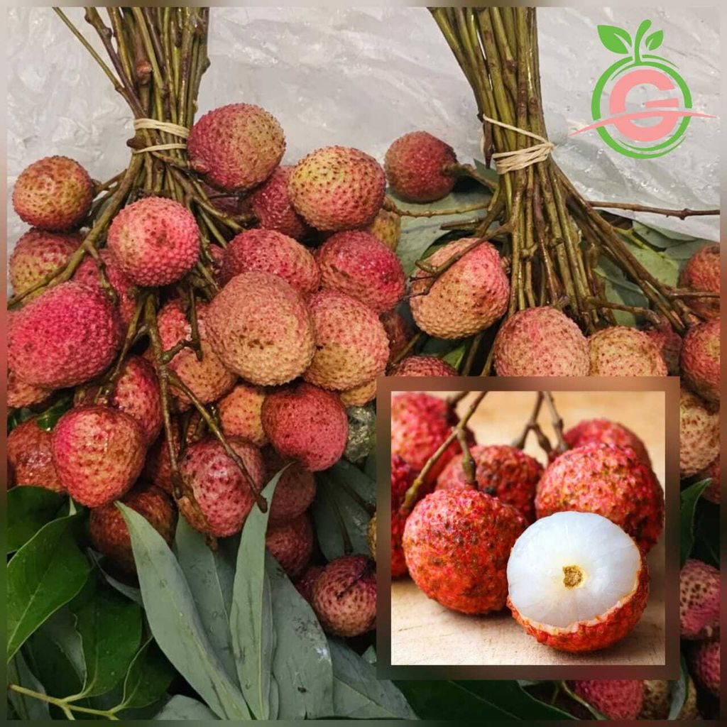 Thailand Premium Highland Lychees (Linjee)
