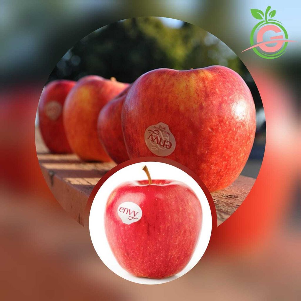 New Zealand Premium Envy™ Apples (Scilate) (Size Jumbo)