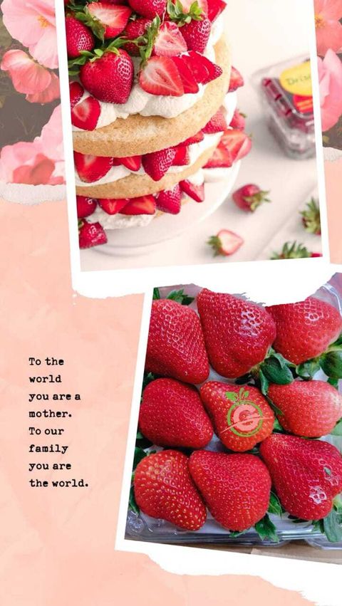 USA Premium Fresh Long Stem Strawberries (Size Super Jumbo)