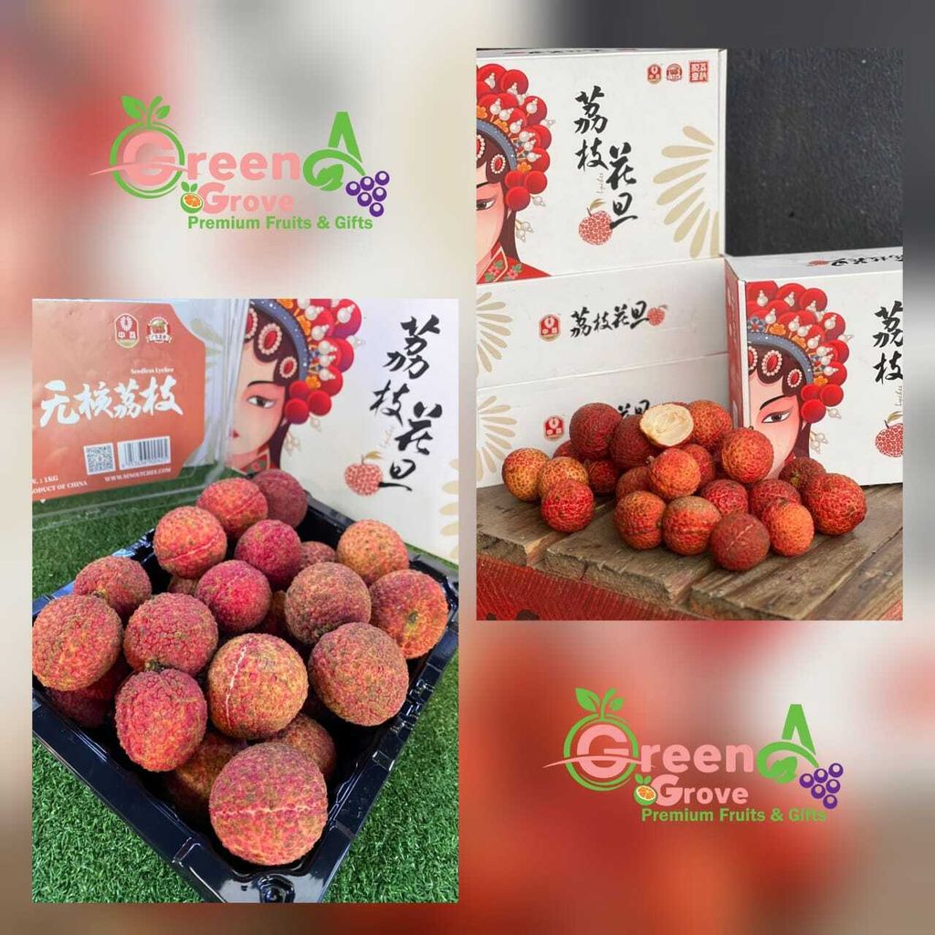 China Fresh Sweet Premium Seedless Lychee 中国无核荔枝 (Size Big - 1KG Gift Box)