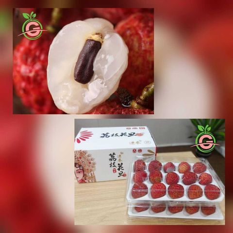 (Pre-Order) China Limited Edition Premium Fresh Xian Jin Feng Lychees 仙进奉荔枝 (weighs approx. 1KG per Gift Box)