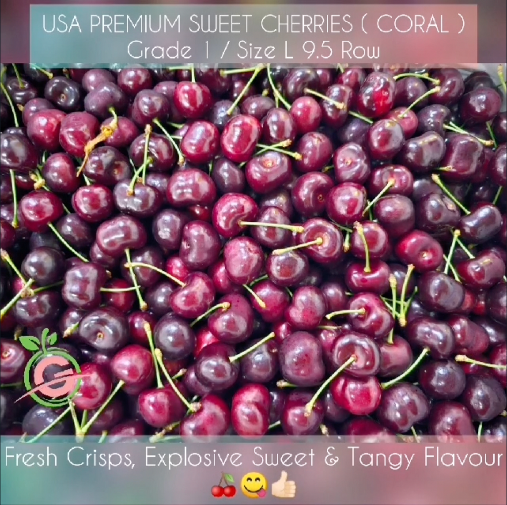 USA Premium Sweet Cherries (Coral) (Size L 9.5 Row)