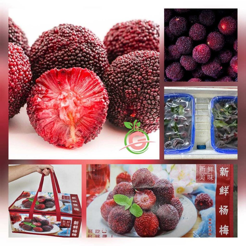 China Premium Superfruit Fresh Bayberry:Yangmei 特级新鲜杨梅 (approx. 1KG or 2KG)