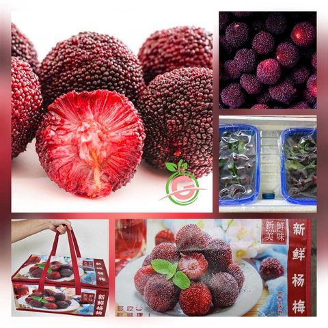 China Premium Superfruit Fresh Bayberry:Yangmei 特级新鲜杨梅 (approx. 1KG or 2KG)