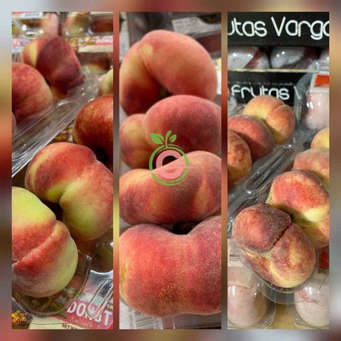 Spain Premium Donut Peaches Paraguayo (UFO-4) (Size AA Jumbo)