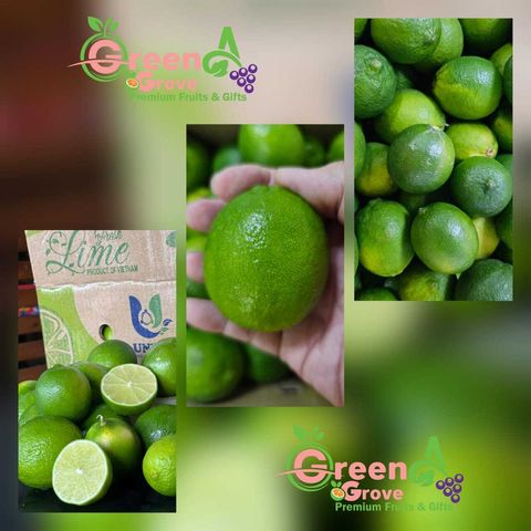 Vietnam Premium Fresh Quality Seedless Key Lime (Size L)