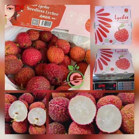 China Fresh Sweet Premium Seedless Lychee 中国无核荔枝 (Size Big - 1KG Gift Box)