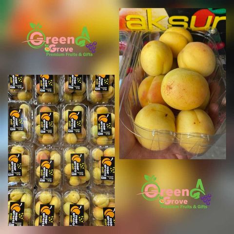 Turkey Premium Fresh Sweet Apricots (350gms per box)