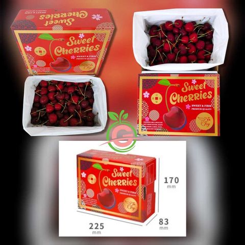 USA Premium Cherries (Bing) (Size L, 9.5 Row & Larger) [2]