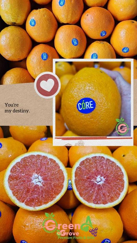 South Africa Premium Cara Cara Navel Oranges (Size Jumbo)