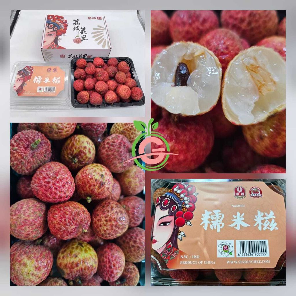 China Fresh Sweet Premium Lychee Ice Species Loh Mai Chee 冰种糯米糍荔枝 (approx. 1KG per Gift Box)