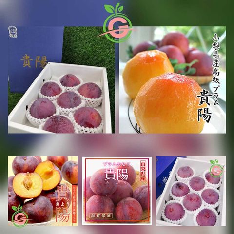 Air-Flown Japan Premium Yamanashi Kiyo Plums 山梨県贵阳 (approx. 1.8KG with 8 Premium Pieces in a Gift Box)