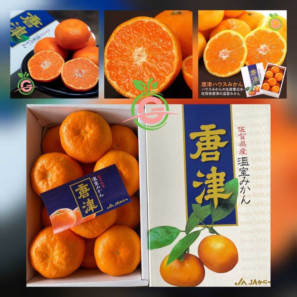 Japan Premium Karatsu Onshitsu Greenhouse Mikan Mandarins 日本特秀唐津蜜柑 (approx. 1KG per Gift Box)