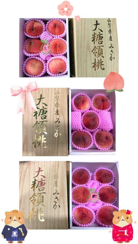 Japan Yamanashi Premium Misaka no Momo White Peaches 山梨県大糖领桃 (Size Large, approx. 2KG with 6 Big Pieces in a Gift Box)