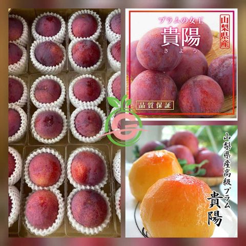 Air-Flown Japan Premium Yamanashi Kiyo Plums 山梨県贵阳 (Size Big, approx. 450gms with 2 Premium Pieces per Tray Box)