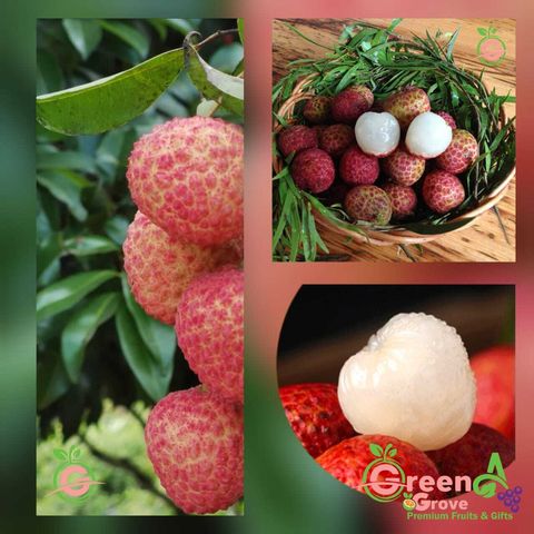 China Fresh Sweet Premium Lychee Loh Mai Chee 糯米糍荔枝 (approx. 1KG per Gift Box)