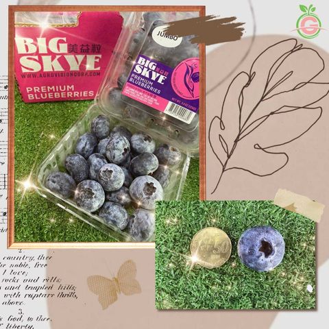 Peru Premium Blueberries (Size Big 18mm++)