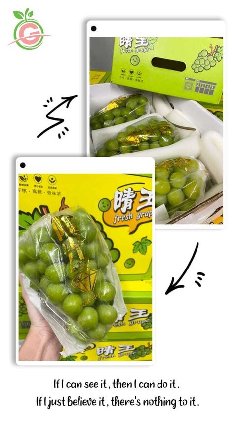 Air-Flown Japan Variety Premium Natural Fresh Shine Muscat Grapes 阳光玫瑰葡萄 (approx. 550 - 850gms per bunch)