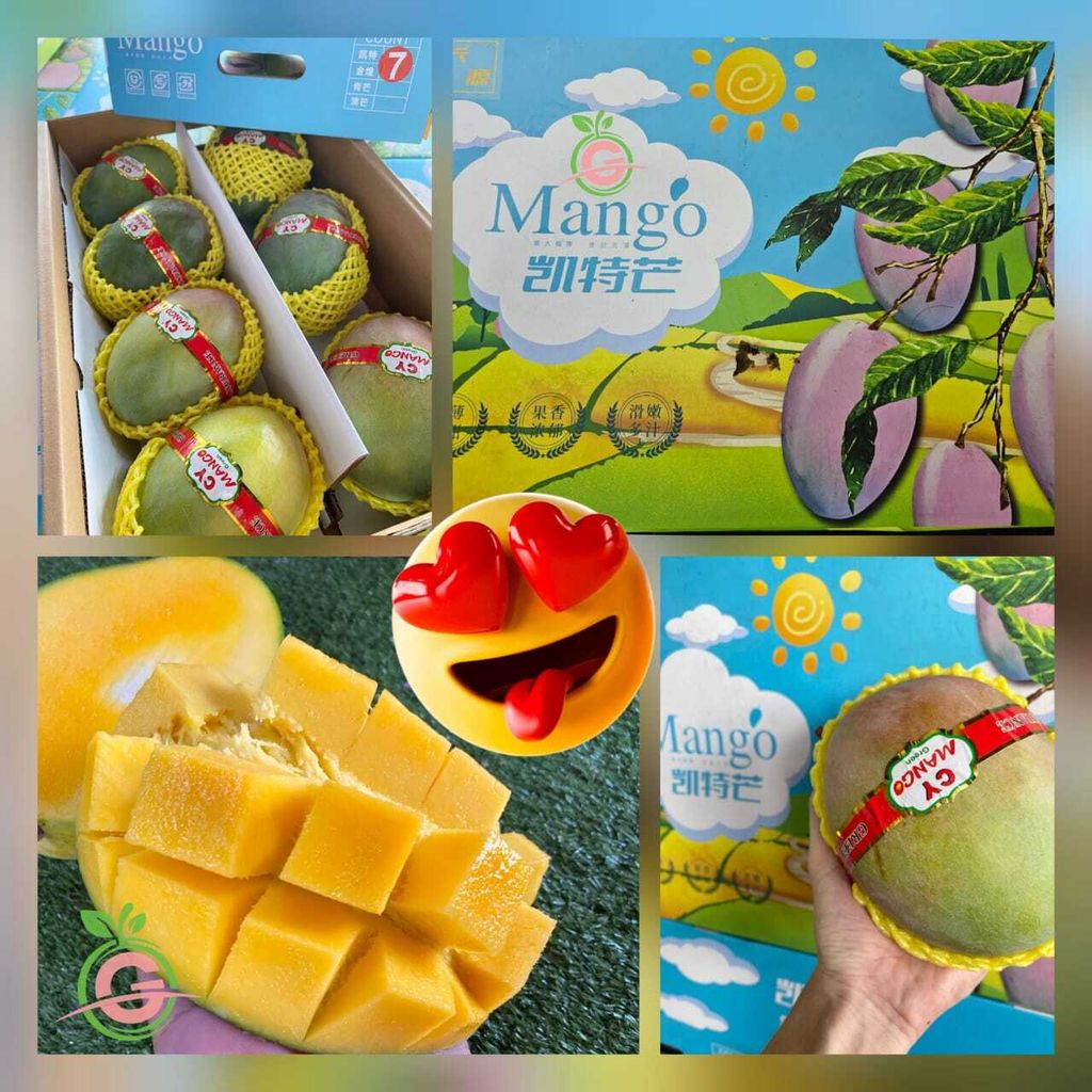 China Premium Naturally Grown Mango Keitt 攀枝花凯特芒果 (approx. 650-750gms each)