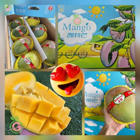 China Premium Naturally Grown Mango Keitt 攀枝花凯特芒果 (approx. 650-750gms each)