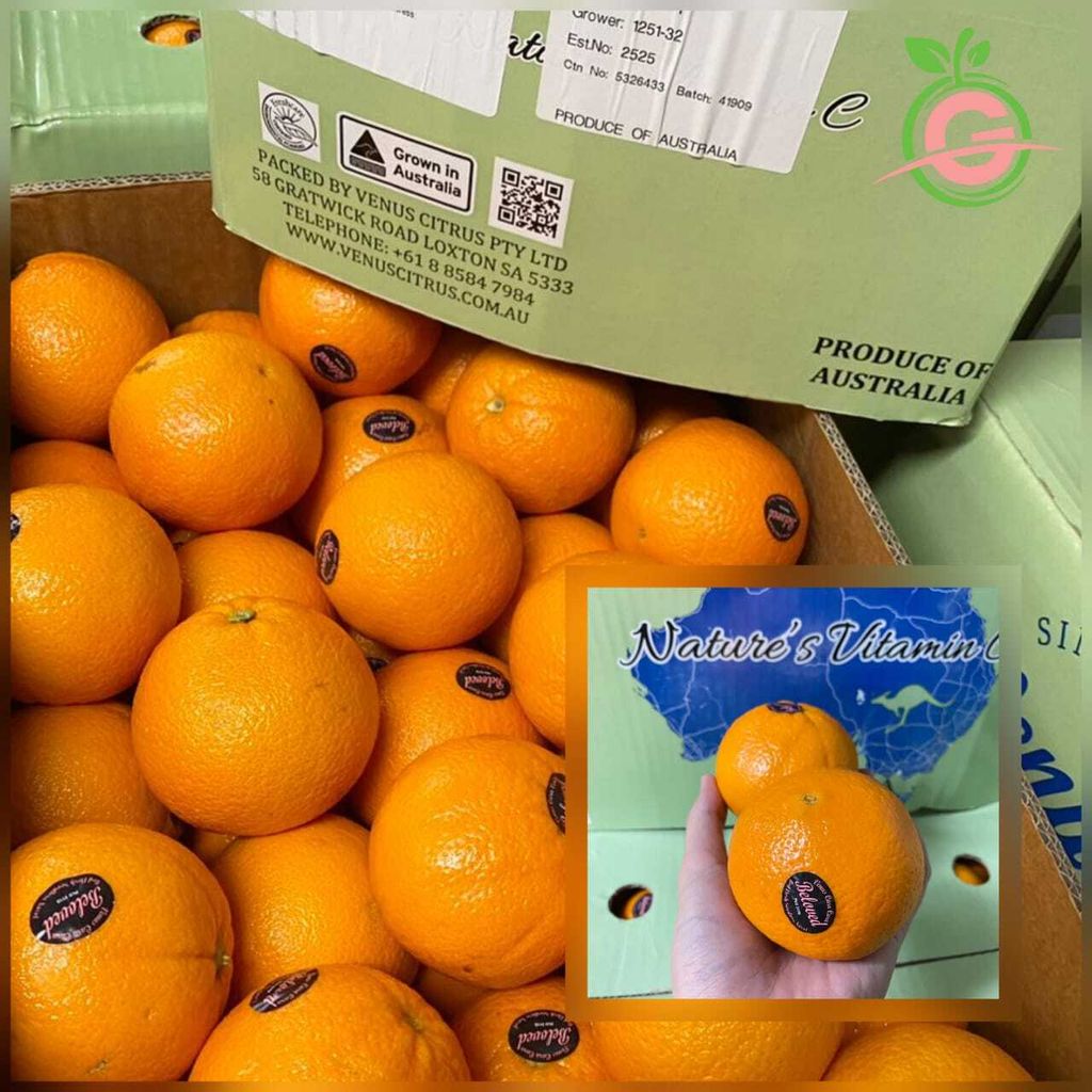 Australia Premium Red Flesh Seedless Cara-Cara Navel Oranges (Size L)