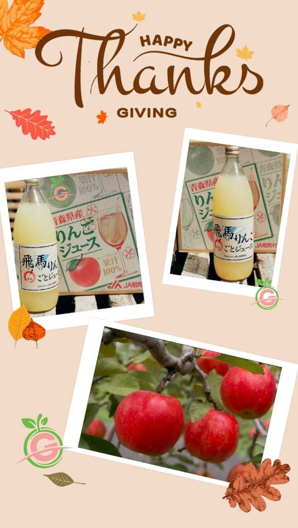 Japan Premium Additive-Free 100% Aomori Hi Uma Apple Juice (1L per bottle)