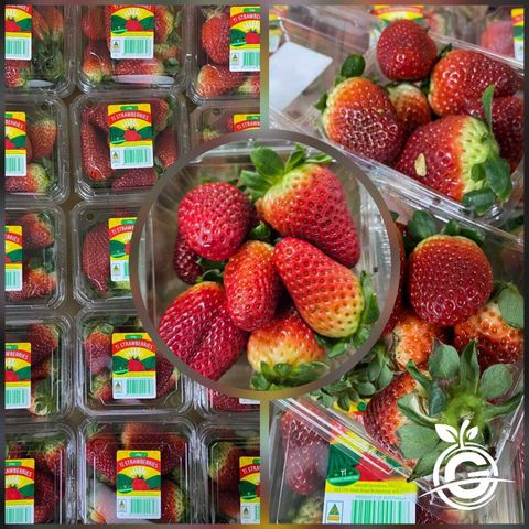 Australia Premium Fresh Strawberries (approx. 250gms per box)
