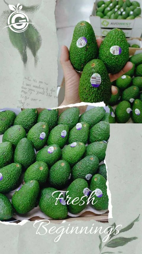 Australia Premium Hass Avocados (Size 30s)