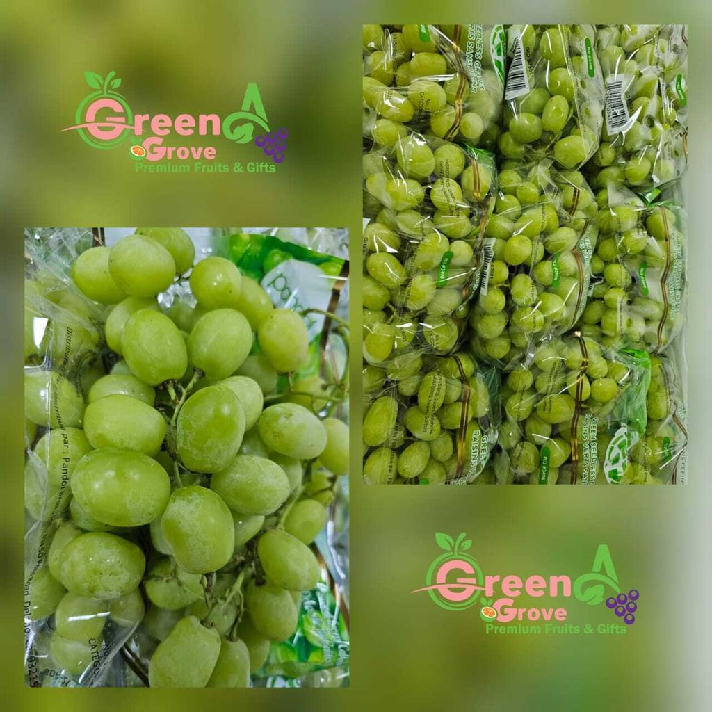 Air-Flown USA Premium Sweet Globe® Green Seedless Grapes 美国小巨蛋爆汁葡萄 (Size XL)