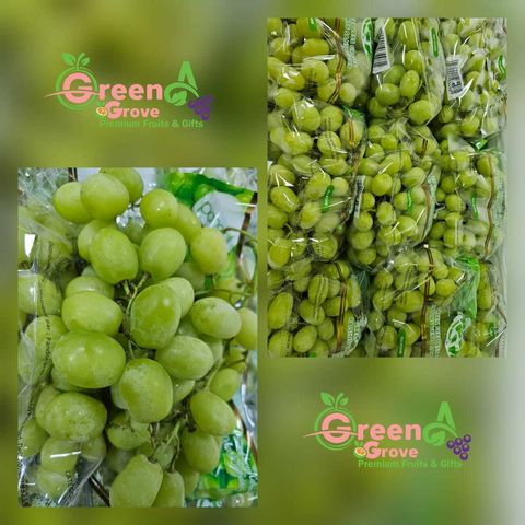 Air-Flown USA Premium Sweet Globe® Green Seedless Grapes 美国小巨蛋爆汁葡萄 (Size XL)