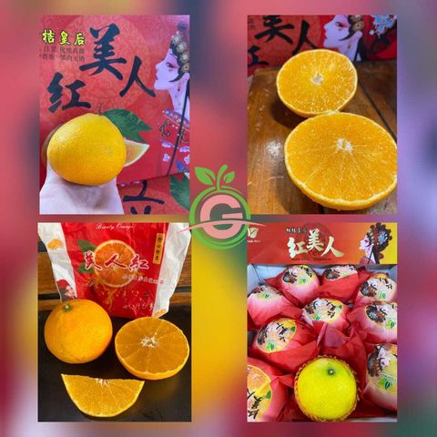Japan Variety Mandarin Jelly Beni-Madonna Oranges 爱媛特秀柑橘