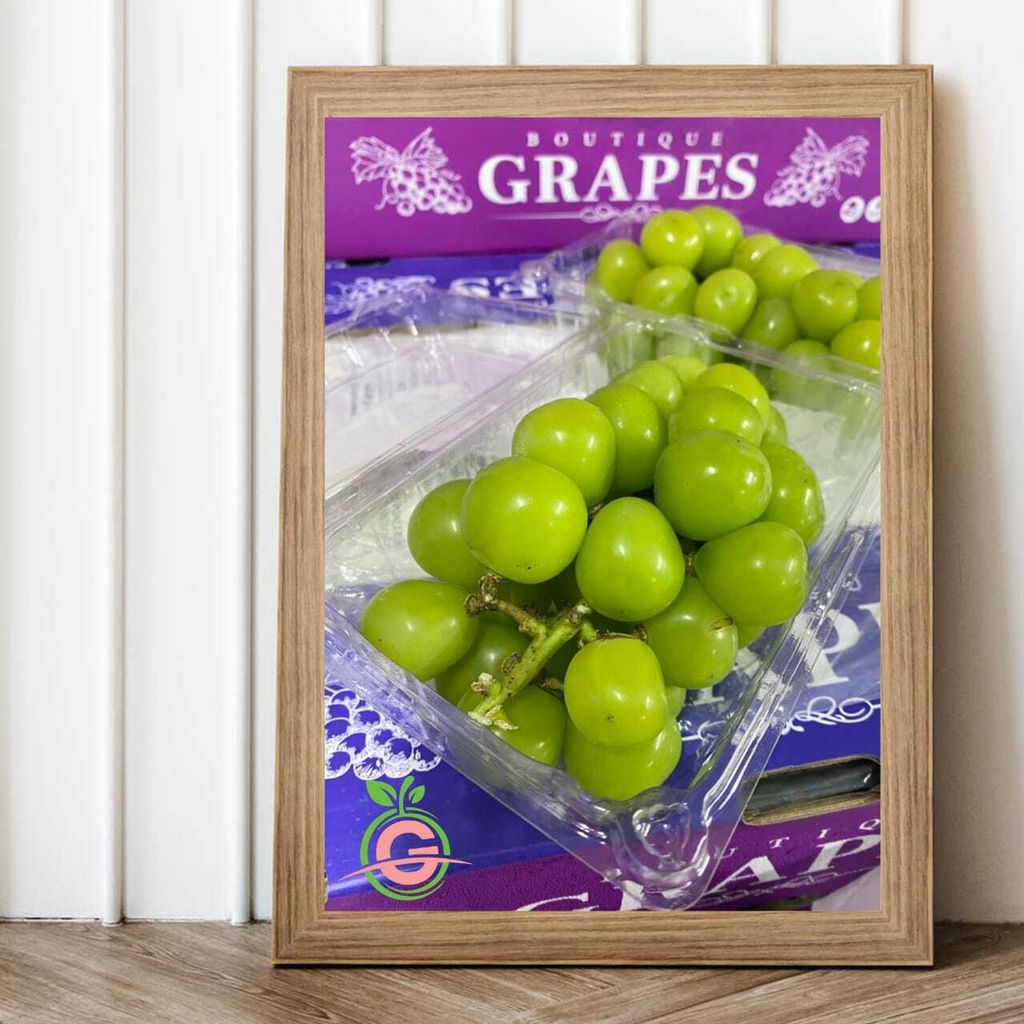 Air-Flown Japan Variety Premium Natural Fresh Shine Muscat Grapes 阳光玫瑰葡萄 (approx. 500gms per bunch:box)