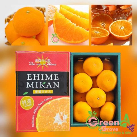 Japan Premium The Sun in Ehime Mikan Mandarin Oranges 日本愛媛の太阳蜜柑 みかん (approx. 1KG per Premium Gift Box)