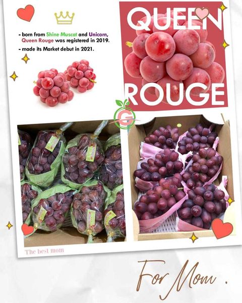 Japan Premium Nagano Queen Rouge® Seedless Grapes (approx. 5KG with 10 Bunches per Carton)