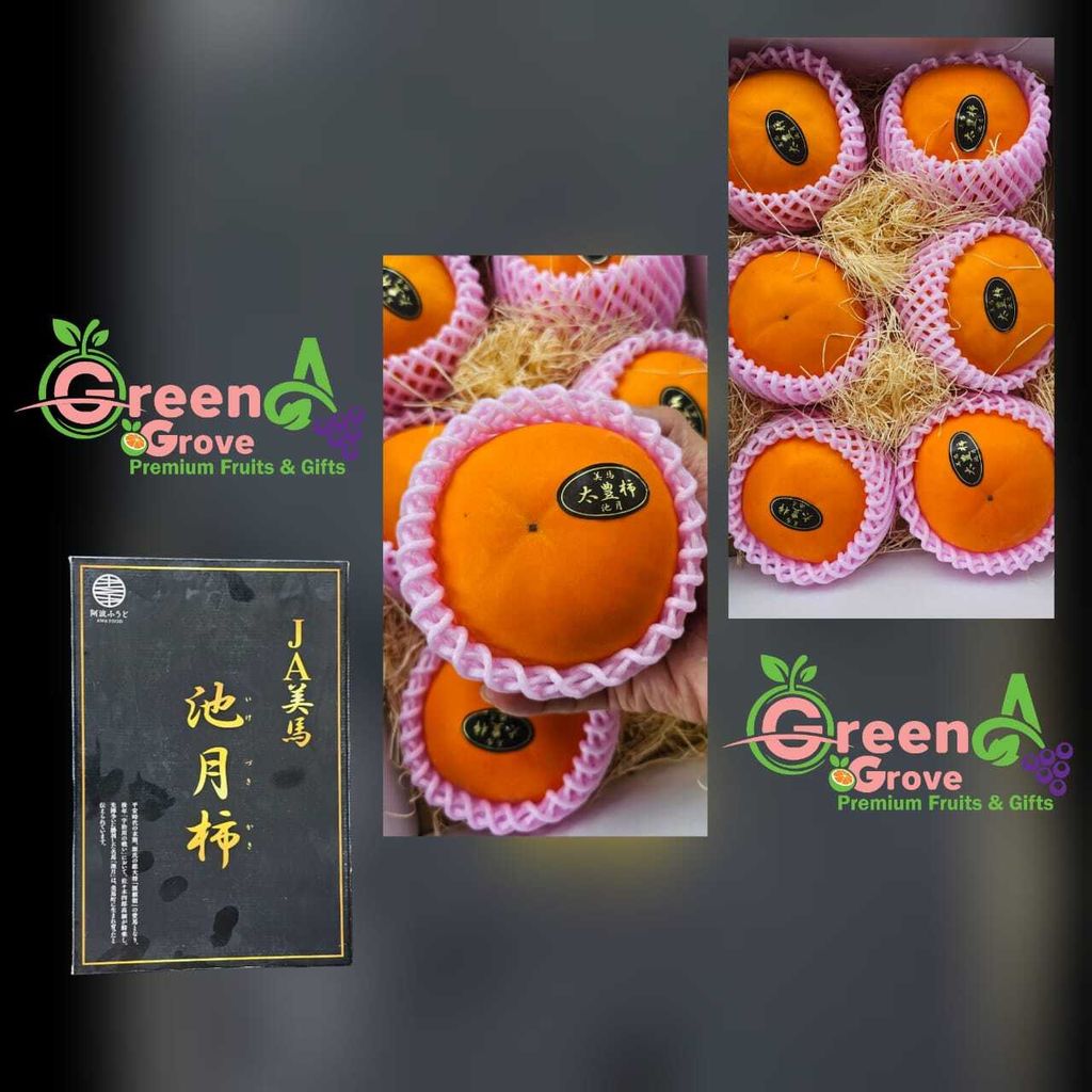 (Pre-Order) Japan Tokushima Ikezuki Premium Fresh Kaki Persimmons 徳島県产太豊池月柿 (approx. 3KG with 6 Jumbo Pieces per Gift Box)