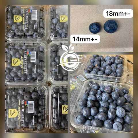 South Africa Premium Blueberries (Size Jumbo)