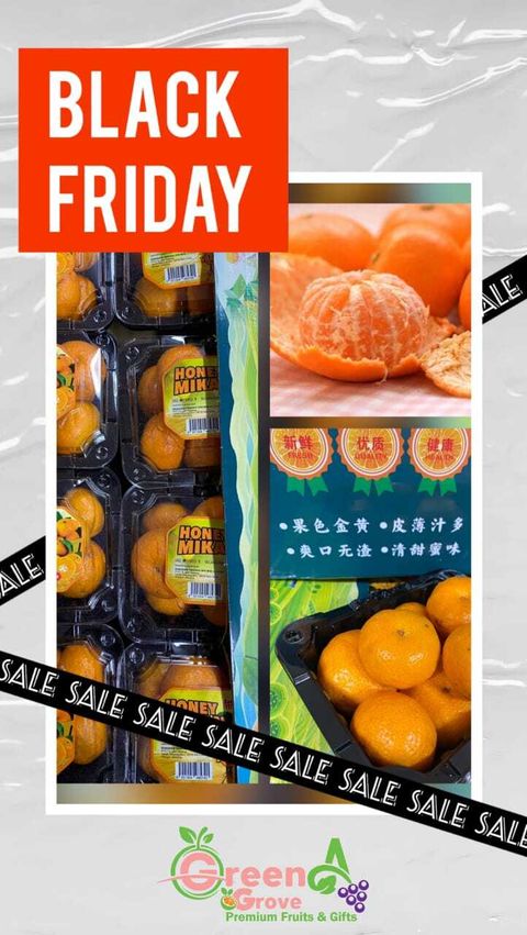 Premium Honey Mikan Mandarins いっきゅうひん蜜柑 (Size M)