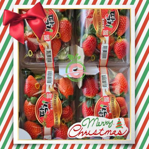 Korea Premium Fresh Jumbo Strawberries (approx. 330gms per gift packet)