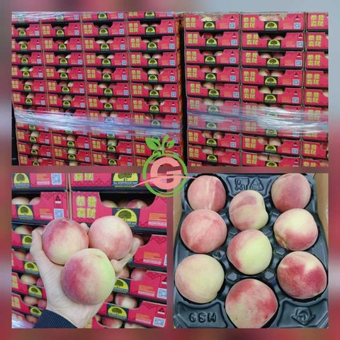 WhatsApp Image 2024-01-11 at 18.48.16