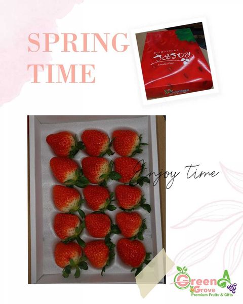 Air-Flown Japan Premium Kagawa Sanukihime Fresh Strawberries 日本香川～公主草莓 (approx. 400gm with 15 Premium Pieces & Gift Box)