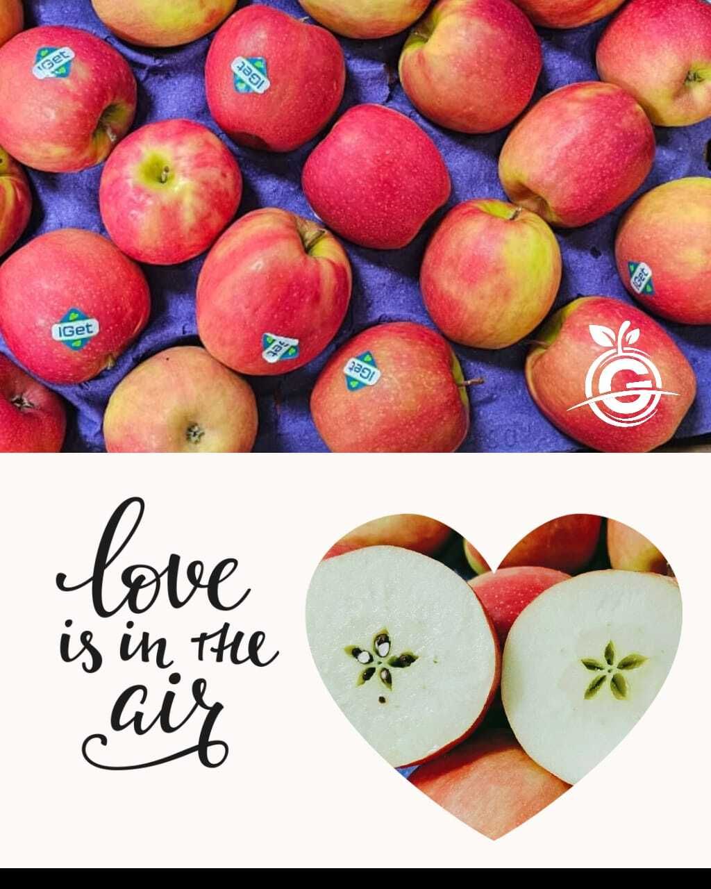 d8e88b81-afcf-4922-91df-9eabd28e701a