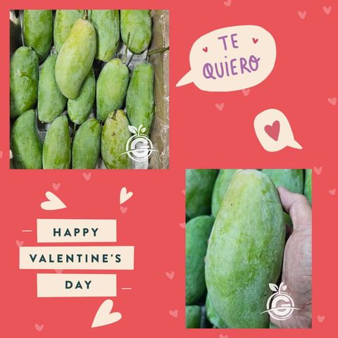 b584deb9-10a5-4f12-8c58-90d1042ebb7d