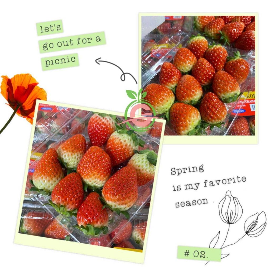 Air-Flown Korea Premium Fresh Strawberries (Size L-XL)