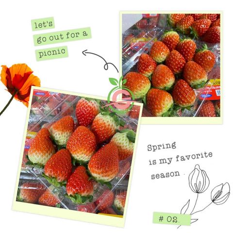 Air-Flown Korea Premium Fresh Strawberries (Size L-XL)
